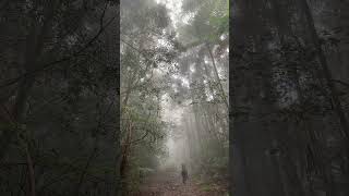 Asmr dendrophile fypシ゚viral hiking pendakiindonesia pendaki pendakigunung videografer [upl. by Arrotal576]