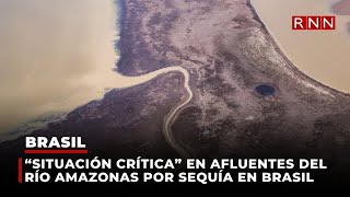 “Situación crítica” en afluentes del río Amazonas por sequía en Brasil [upl. by Anir577]