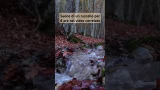 Suoni rilassanti della natura acquachescorre rumoredellacqua ruscello [upl. by Catlee]