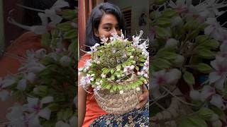 জুগারু ফুলদানি 💐😁 shorts trending viral flowers traditional foryou [upl. by Nylehtak]