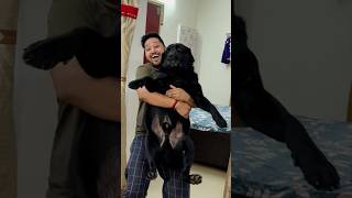 My Dog Hates Bath trending lucky doglover [upl. by Etak]