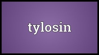 Tylosin Meaning [upl. by Lavud]