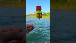 Tips for fishing silver carp and bighead carp with sea pole and water treasure Floating fishing [upl. by Ensoll189]