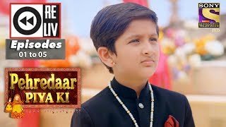 Weekly Reliv  Pehredaar Piya Ki  17th July to 21st July 2017  Episode 01 to 05 [upl. by Youngran]