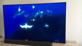 Sony oled AG9 Netflix test of Dolby Vision and Dolby atmos [upl. by Attennaej]