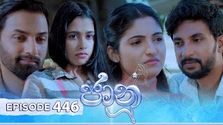 Jaanu  Episode 446  20241108  ITN [upl. by Xam303]