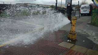 Hydrant throwing water Puerto Montt [upl. by Janka462]