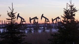 Why the US will survive the oil crash [upl. by Erving699]