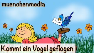 🎵 Kommt ein Vogel geflogen  Kinderlieder deutsch  Frühlingslied  muenchenmedia [upl. by Wiener921]