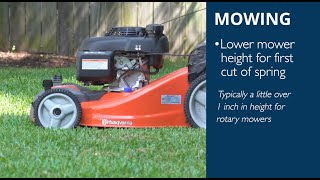 How to Mow Your Zoysia Lawn During the Spring Season [upl. by Esteban]