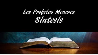 Los Profetas Menores de la Biblia en 7 Minutos  Síntesis [upl. by Domeniga]