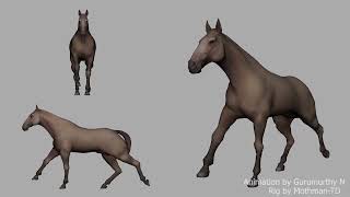 Horse gaits Canter amp Gallop Animation Test [upl. by Cooper]