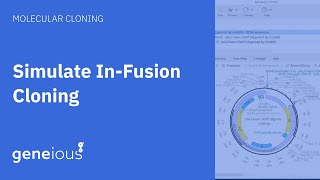 How to Simulate InFusion Cloning with Geneious Prime [upl. by Ibrek557]