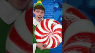 GIANT FREEZE DRIED PEPPERMINT 🎅🍭 trendytreats candy Christmas [upl. by Aihsatsan337]