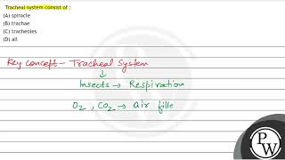 Tracheal system consist of  A spiracle B trachae C tracheoles D all [upl. by Aalst]