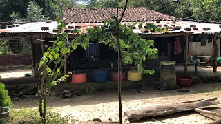 Una visita por la casa de campo en El Ojo de agua 🇸🇻 [upl. by Olmsted]