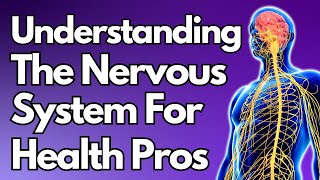 Decoding The Nervous System For Health Pros [upl. by Fianna]