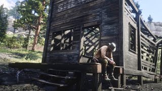 Red Dead Redemption 2 What to do at the start of Chapter 2 collecting the Limpany gold bar [upl. by Gnet]