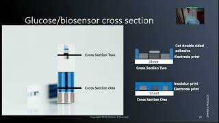 Layout and cross section of an electrochemical biosensor  glucose strips [upl. by Hcab]