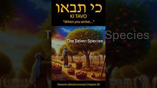 The Seven Species of the First Fruits  parashat ki tavo [upl. by Hafler253]