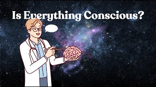 Consciousness and the Universe [upl. by Cost]