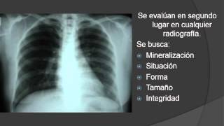 Fundamentos para Interpretación en Radiología General Simple [upl. by Heringer]