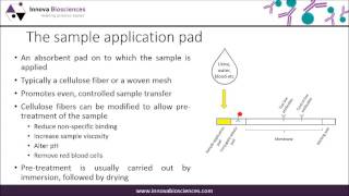 Lateral Flow Webinar A Guide to Lateral Flow Immunoassay Development [upl. by Ioyal735]