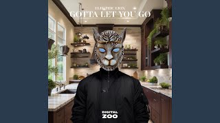 Gotta Let You Go [upl. by Nwatna]