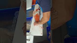 Salmon Cutting Skills  How to Cut Salmon for Sashimi and sushi shorts fishcutting seafood fish [upl. by Aenil]