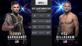 Cody garbrandt vs TJ Dillashaw full fight ufc 217 [upl. by Lennahs332]