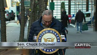 Schumer Requests Rioters Be Put on NoFly List [upl. by Penman]