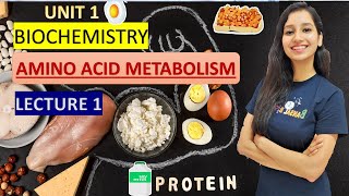 Amino Acid Metabolism Lecture 1 I Biochemistry I Transamination I Deamination I Transdeamination [upl. by Elrak]