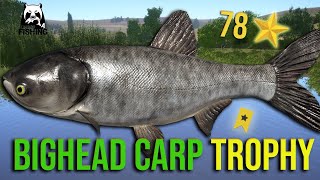 Bighead Carp Trophy 40kg at Sura River  Russian Fishing 4 rf4 [upl. by Maillw620]