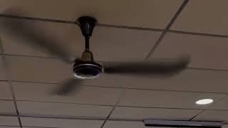 Brunswick 2000HRS Ceiling Fans in a bowling alley [upl. by Malvie]