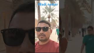 Riyadh wadi namar minivlog shortvideo park driver car [upl. by Aicrag]