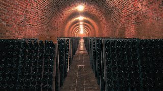 Worlds Largest Wine Collection [upl. by Alleoj]