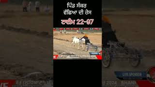 Ox Race  Pind Shankar  Fast Priz 2297  oxbull ox raceyoutubeshorts bullraceing [upl. by Noam]