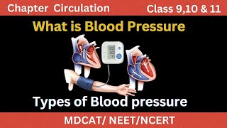 Explanation of Blood pressure for MBBS amp MDCAT students What is systolic amp diastolic Blood pressure [upl. by Ardine620]