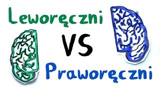 Leworęczni vs Praworęczni Co nas różni i dlaczego jedna ręka człowieka dominuje nad drugą [upl. by Northway748]