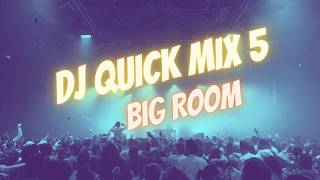 DJ Quick Mix 5  Big Room [upl. by Xed]