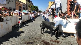 JEREZADA EN JEREZ ZACATECAS 11 DE FEBRERO 2024 [upl. by Lesig]