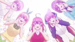 The Quintessential Quintuplets In A Nutshell [upl. by Arima]