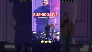 BUSHIDO LIVE bei Shindy 2023 ⭐️⭐️⭐️ bushido shindy sterne [upl. by Eetnahs]