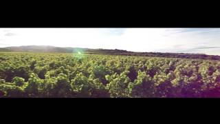 La Rioja Alta SA Group  Corporate video Long form [upl. by Airom233]