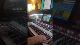 Ce LA Luna Mezzo Mare played on my Lowrey Grand Marquee Organ [upl. by Vanny908]