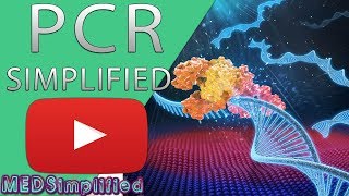 PCR  Polymerase Chain Reaction Simplified [upl. by Septima]