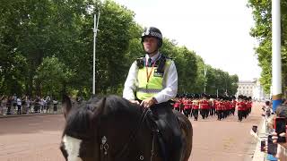 Band of the Irish Guards and Nijmegen Company Grenadier Guards [upl. by Nosam680]