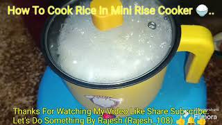 How To Cook Rice In Mini Rise CookerChawal Kaise Pakaye Chhoti Electric Rice Cooker Me ‎Rajesh108 [upl. by Dichy142]