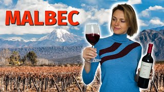 Wine Grapes 101 MALBEC [upl. by Drexler919]