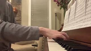 Mariners Apartment Complex  Lana Del Rey Piano Cover [upl. by Anilok637]